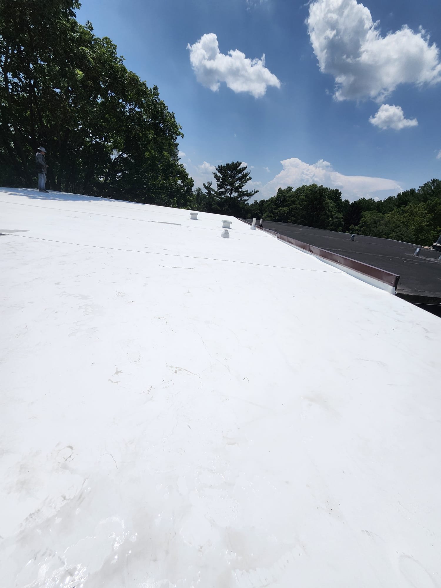 Asphalt roof with chimney Olney Maryland